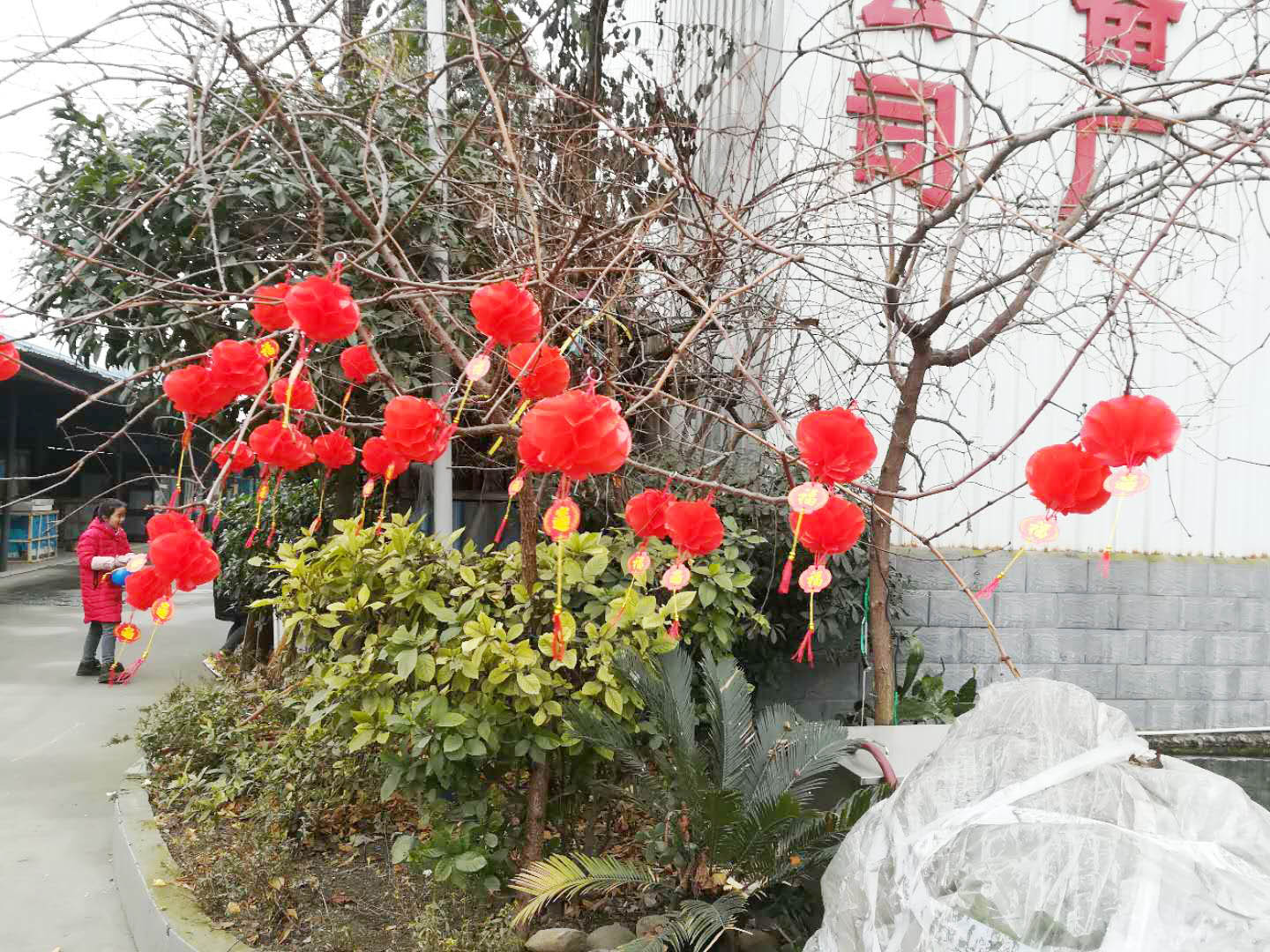 四川芭乐APP下载污芭乐视频官网下载在线播放设备公司年会4