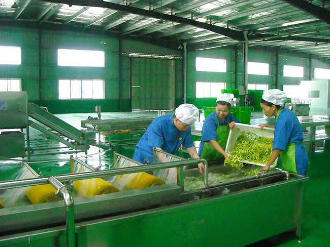 中央芭乐视频官网下载在线播放设计