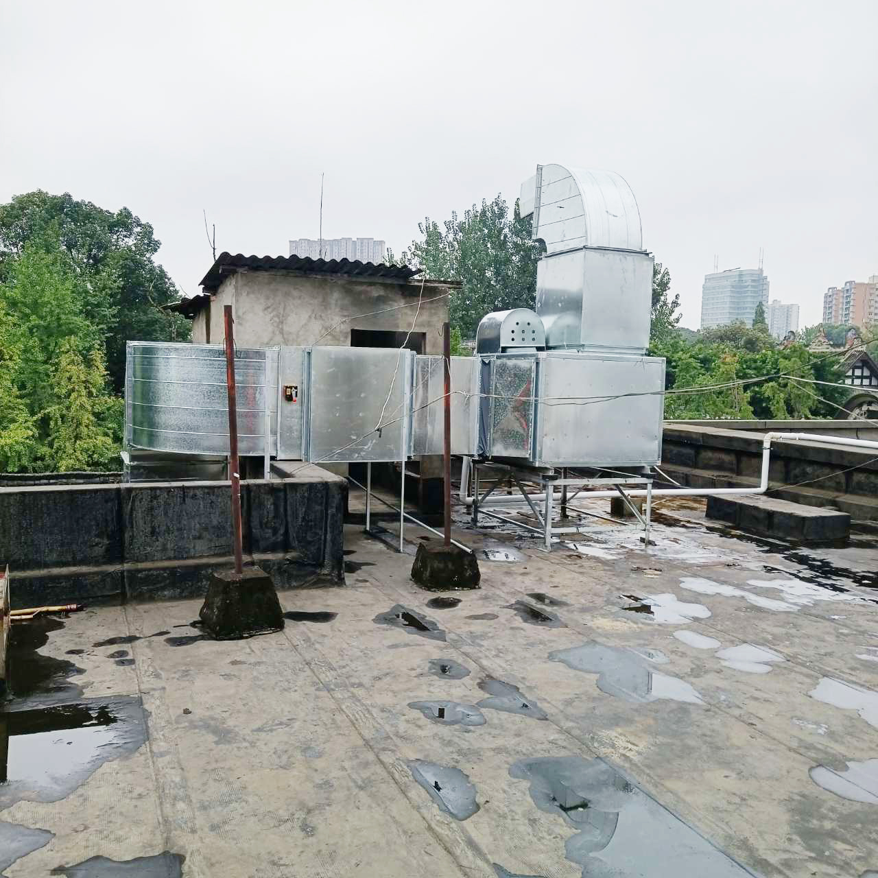 食堂芭乐视频官网下载在线播放设备公司