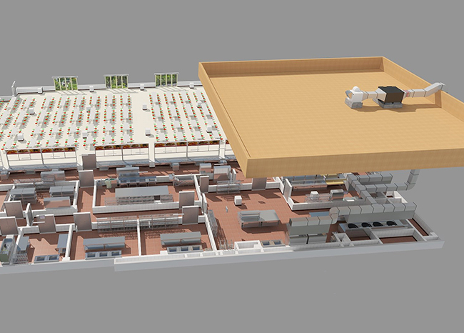 芭乐视频官网下载在线播放抽排系统设计