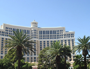 成都丽天星级酒店芭乐视频官网下载在线播放设备采购项目