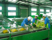 四川中央芭乐视频官网下载在线播放设备厂家详解中央芭乐视频官网下载在线播放的分区要自己设计注意事项